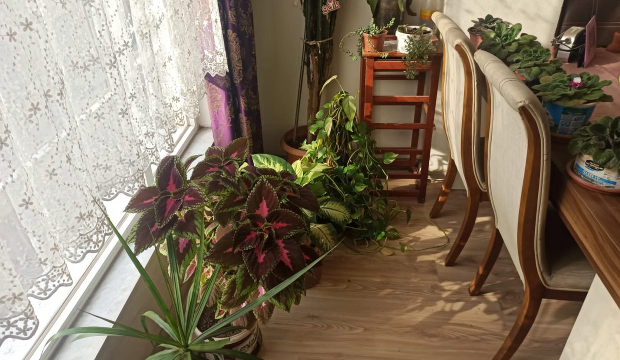 fe3ce38b-8a74-430c-8089-3b16d46b74b5